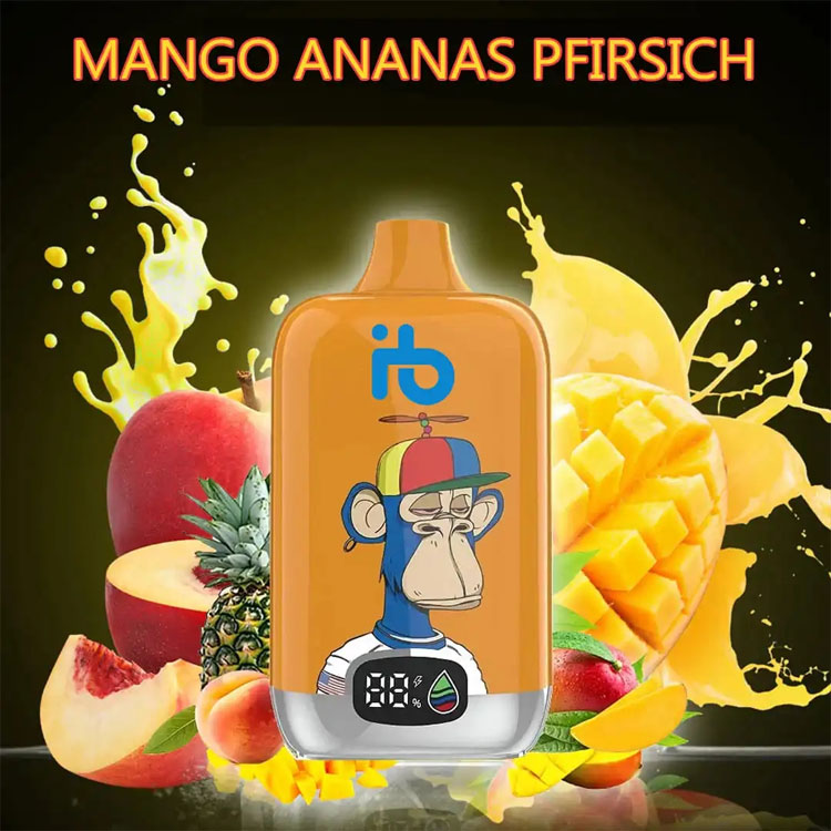 elfbar x im Praxischeck – warum die Elektrische Zigarette bei Umsteigern und Genießern überzeugt