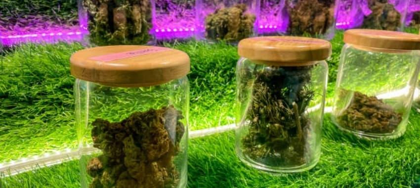 elektrische stopfmaschine zigaretten preise - günstige preise, Tests und Kaufberatung 2025